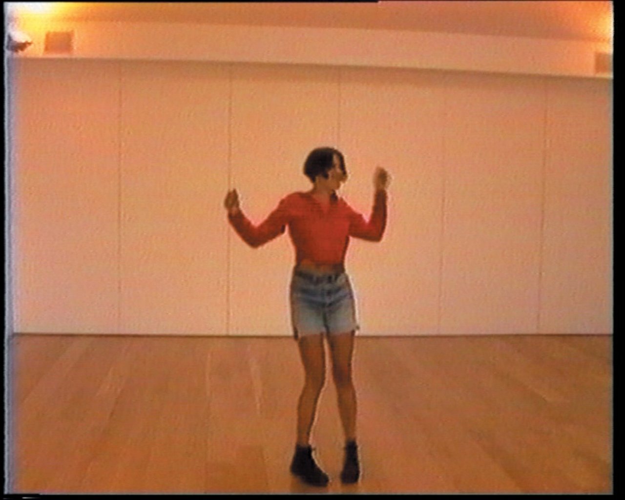 Tracey Emin, Why I never became a dancer, 1995