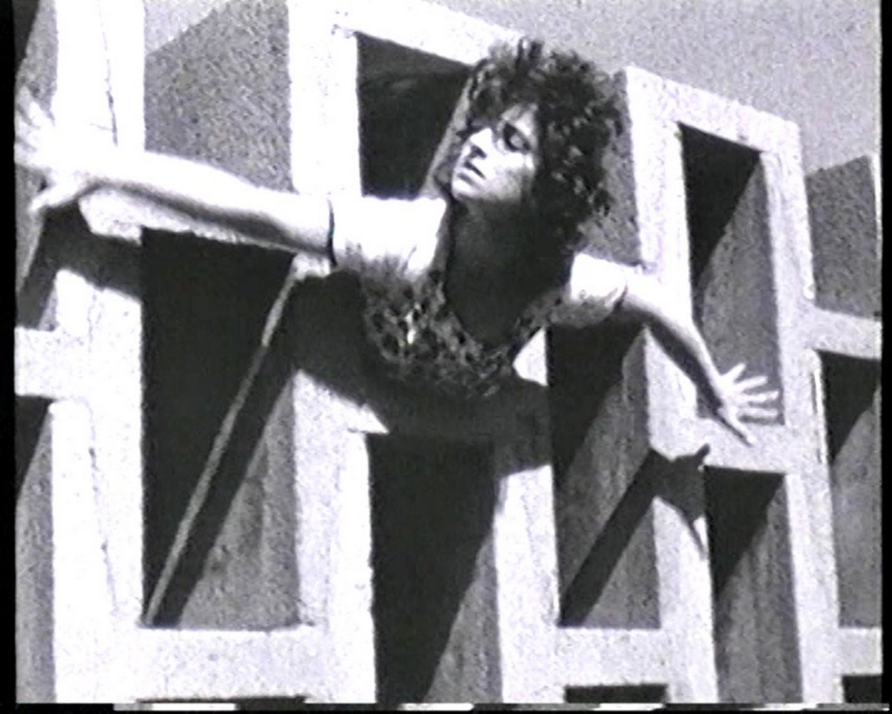 Gabriele Stötzer, Veitstanz / Feixtanz, 1988