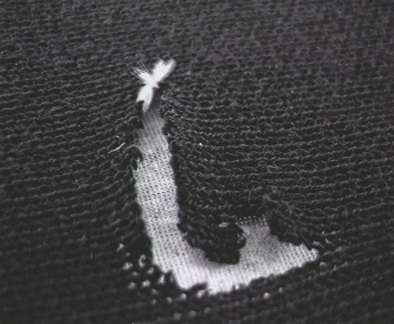 Rosemarie Trockel, á la Motte, 1993